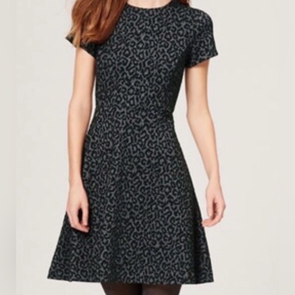 Loft NWT leopard print fit and flare dress, size 0